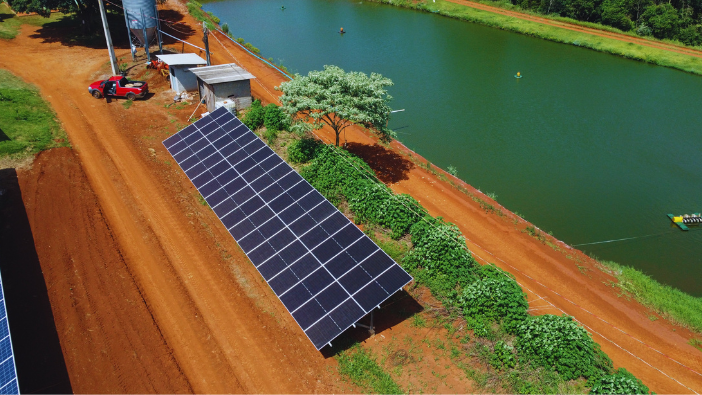 Projeto Tatiane Rocha